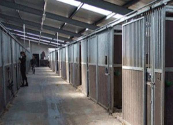 Horse boarding facilities